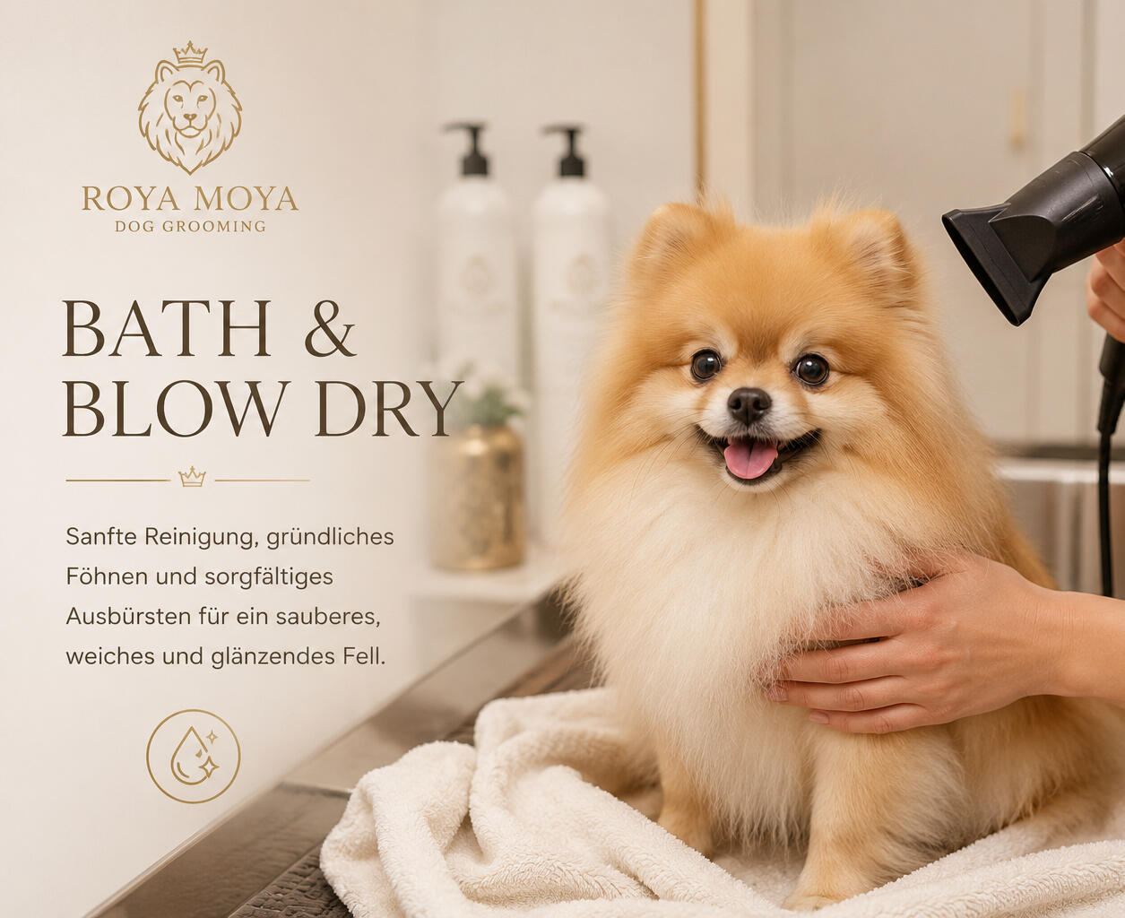 bath and blow dry